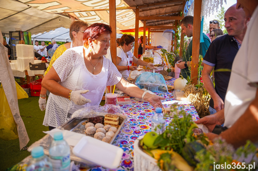 Tarnowiec. XIV Festiwal Smaków Regionalnych Pierogi