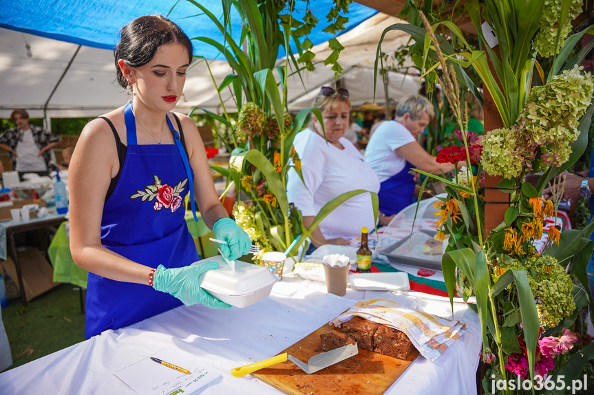 Tarnowiec. XIV Festiwal Smaków Regionalnych Pierogi