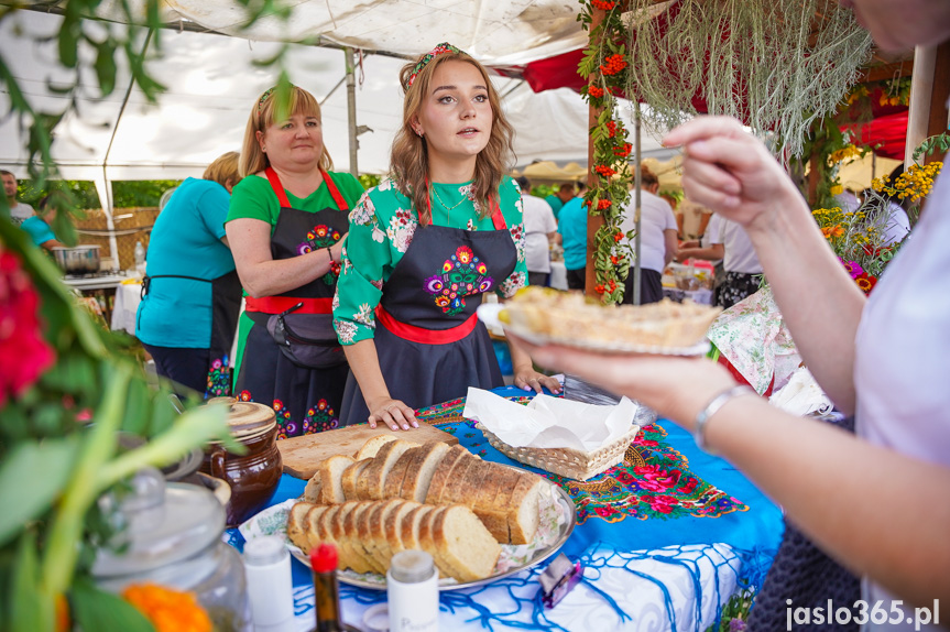 Tarnowiec. XIV Festiwal Smaków Regionalnych Pierogi