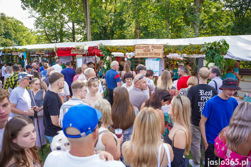 Tarnowiec. XIV Festiwal Smaków Regionalnych Pierogi