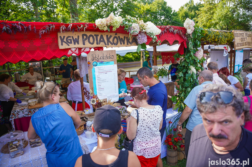 Tarnowiec. XIV Festiwal Smaków Regionalnych Pierogi