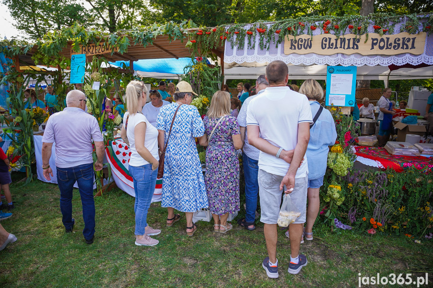 Tarnowiec. XIV Festiwal Smaków Regionalnych Pierogi