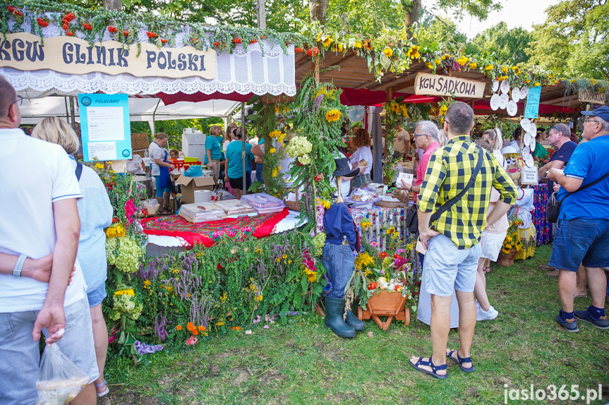 Tarnowiec. XIV Festiwal Smaków Regionalnych Pierogi