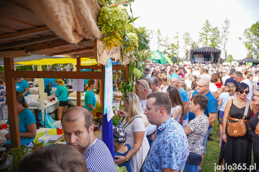 Tarnowiec. XIV Festiwal Smaków Regionalnych Pierogi