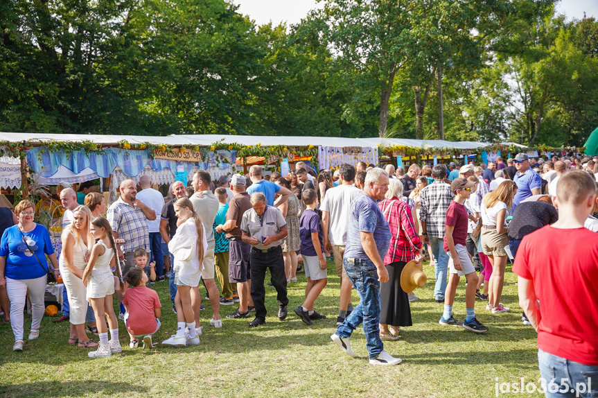 Tarnowiec. XIV Festiwal Smaków Regionalnych Pierogi