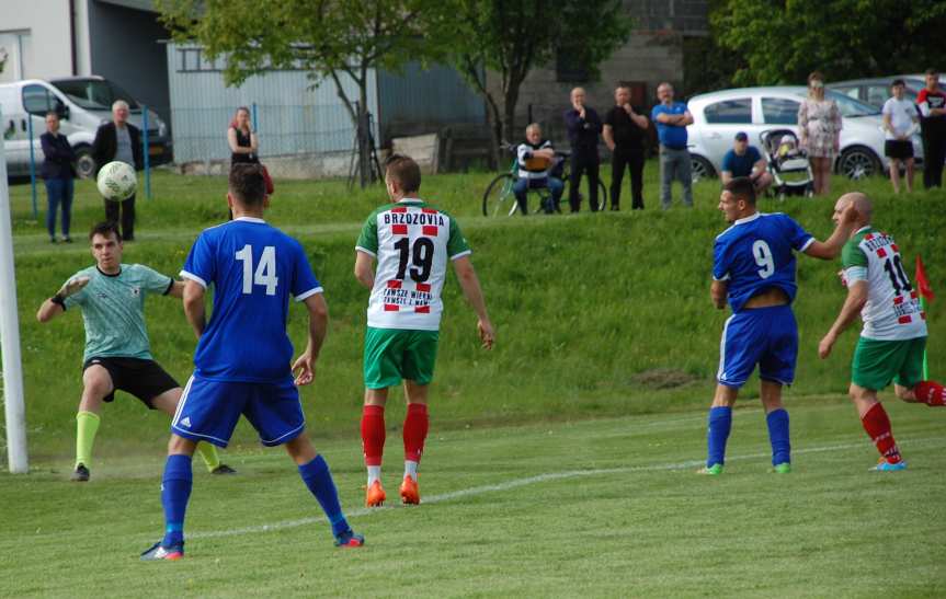 Tempo Nienaszów - Brzozovia Brzozów 3-3