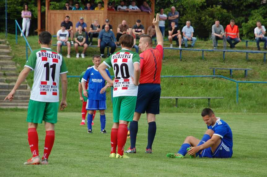 Tempo Nienaszów - Brzozovia Brzozów 3-3