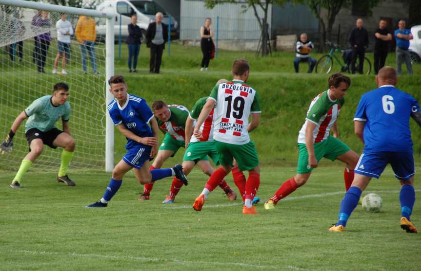 Tempo Nienaszów - Brzozovia Brzozów 3-3