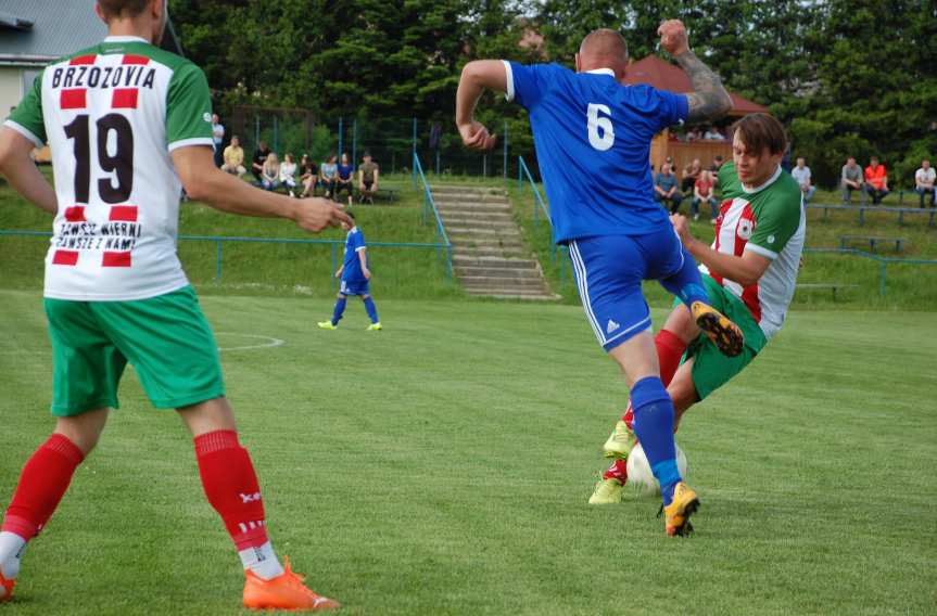 Tempo Nienaszów - Brzozovia Brzozów 3-3