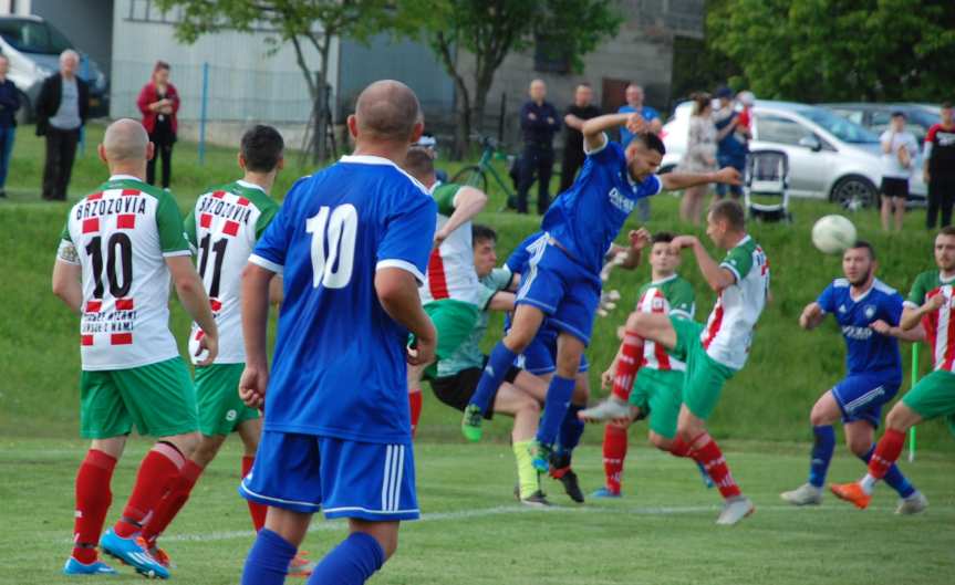 Tempo Nienaszów - Brzozovia Brzozów 3-3