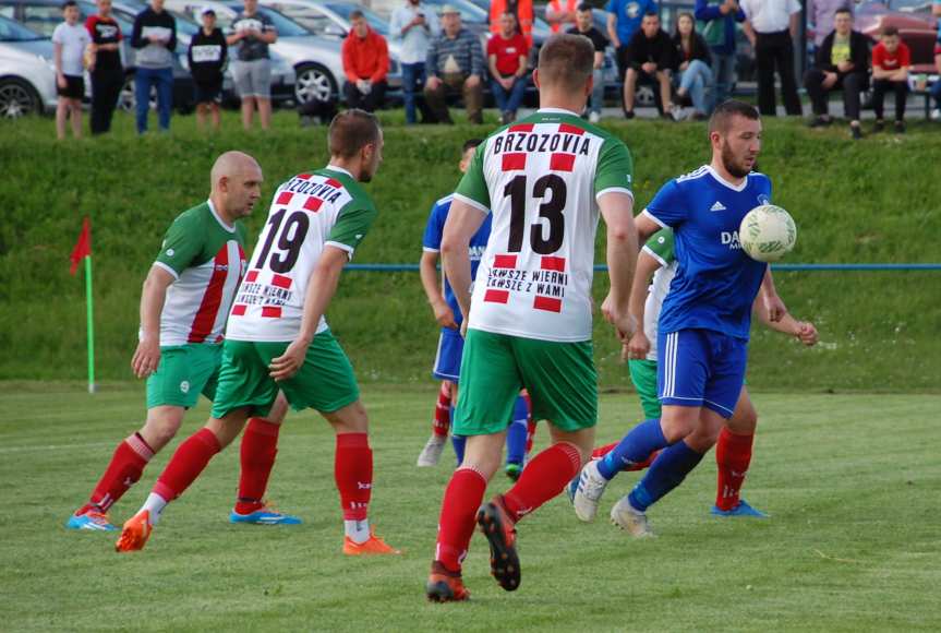 Tempo Nienaszów - Brzozovia Brzozów 3-3