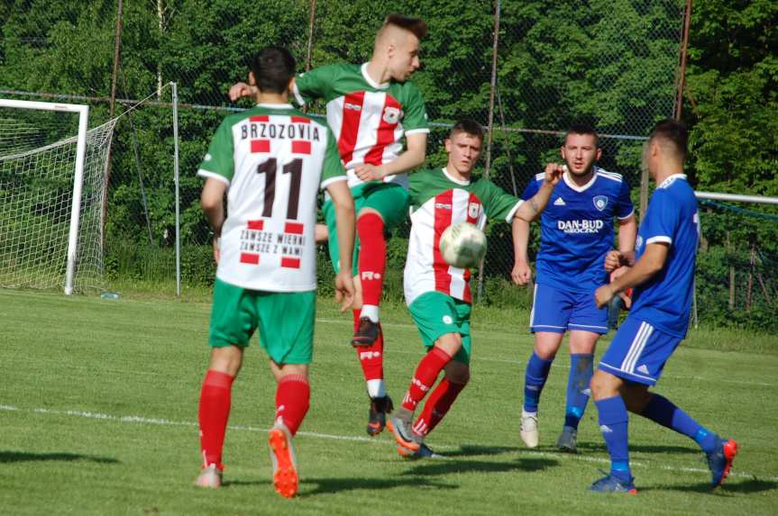 Tempo Nienaszów - Brzozovia Brzozów 3-3