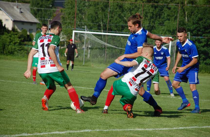 Tempo Nienaszów - Brzozovia Brzozów 3-3