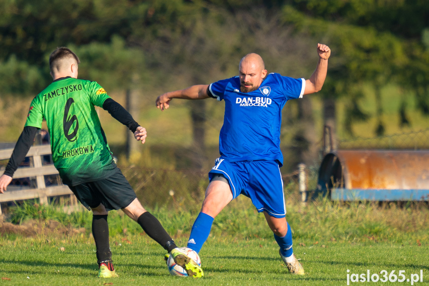 Tempo Nienaszów - Zamczysko Mrukowa 0:2