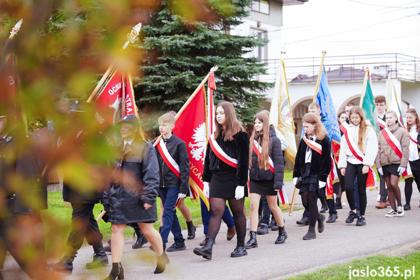 Uroczystości patriotyczne w Warzycach