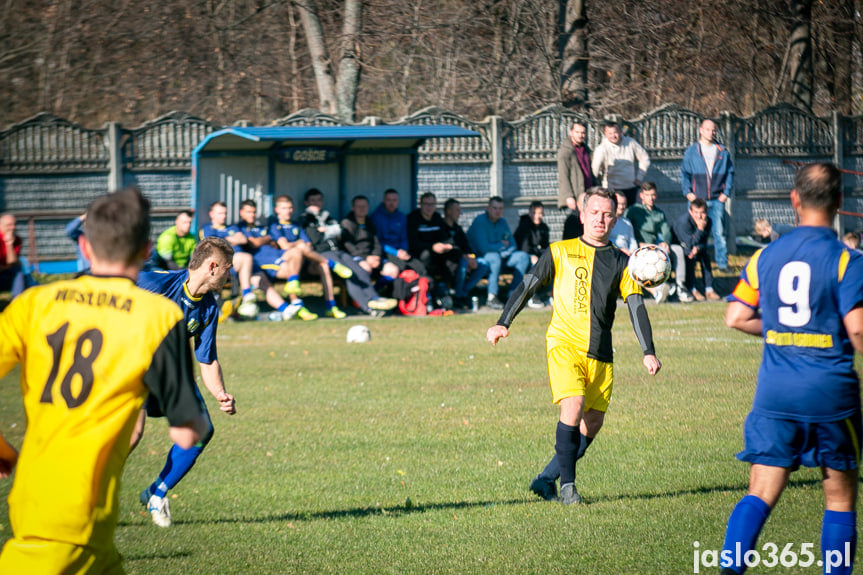 Wisłoka Nowy Żmigród - Sparta Osobnica 1:2