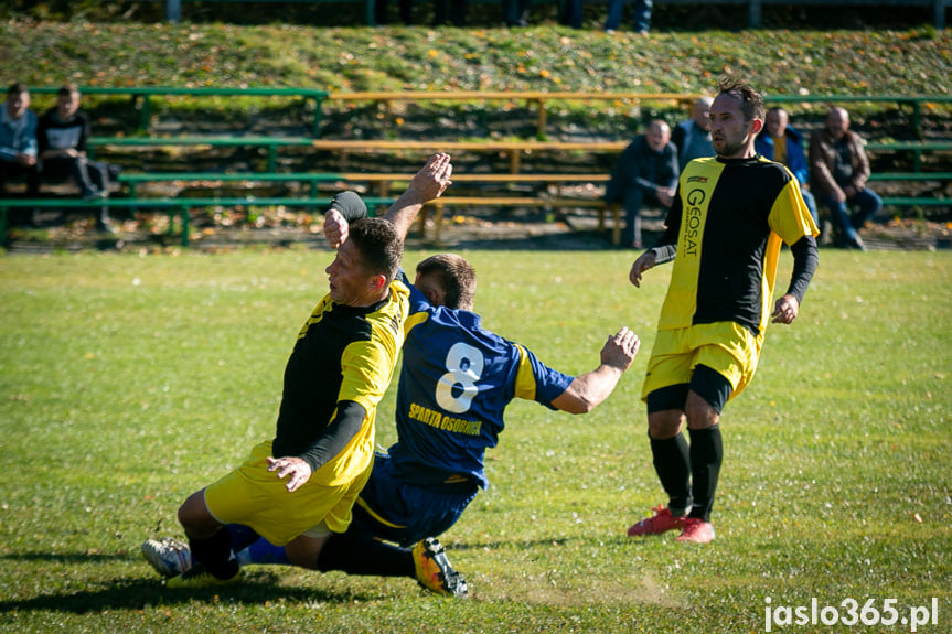 Wisłoka Nowy Żmigród - Sparta Osobnica 1:2