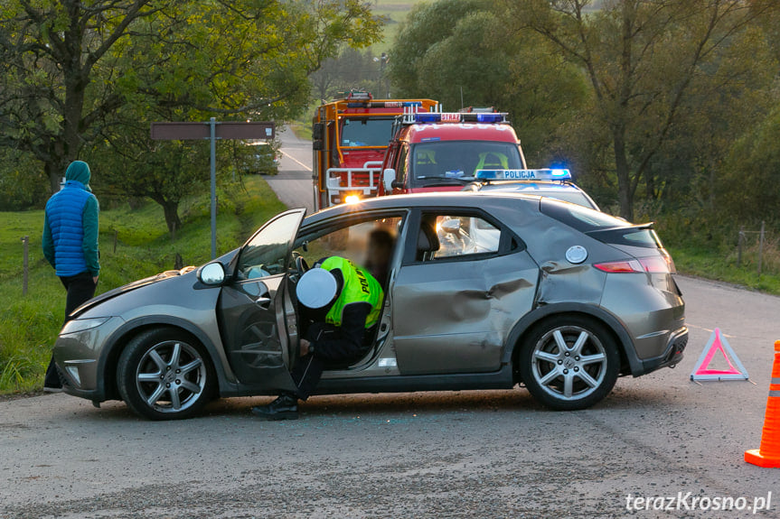 Wypadek w Ożennej