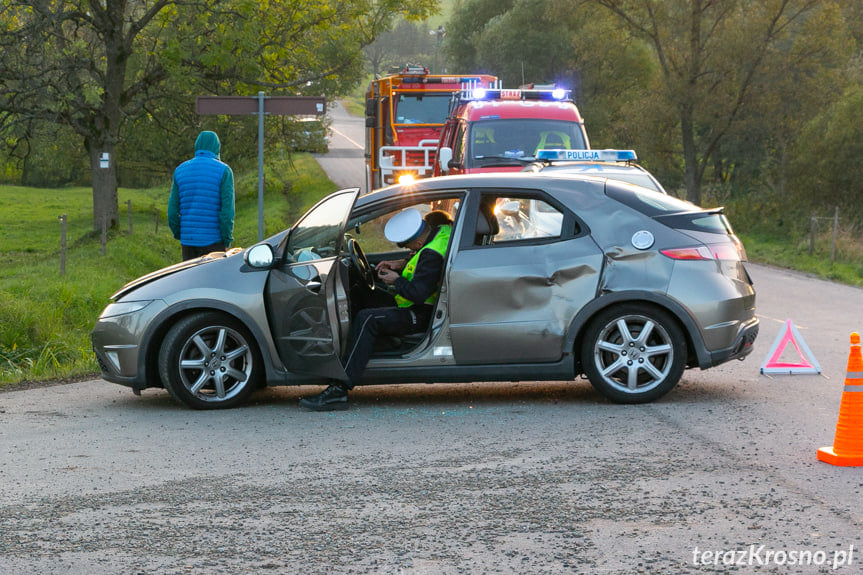 Wypadek w Ożennej