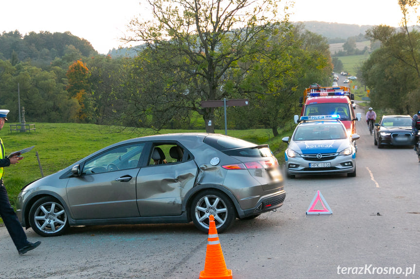 Wypadek w Ożennej