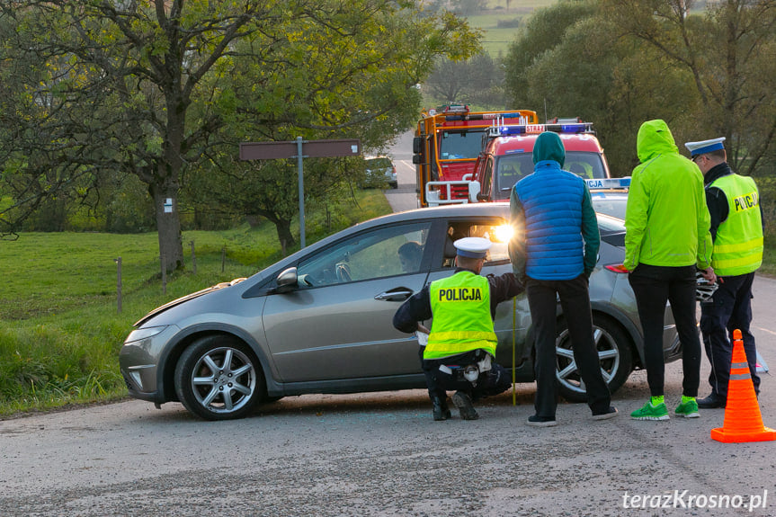 Wypadek w Ożennej