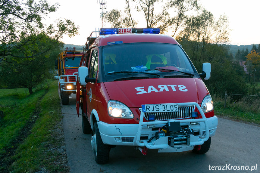 Wypadek w Ożennej