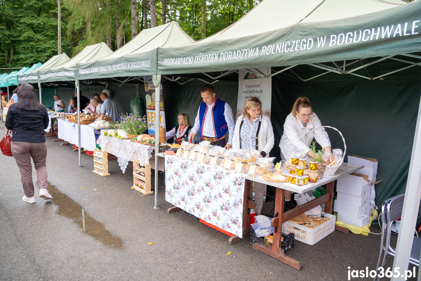 XII Festiwal Smaków Regionalnych Pierogi