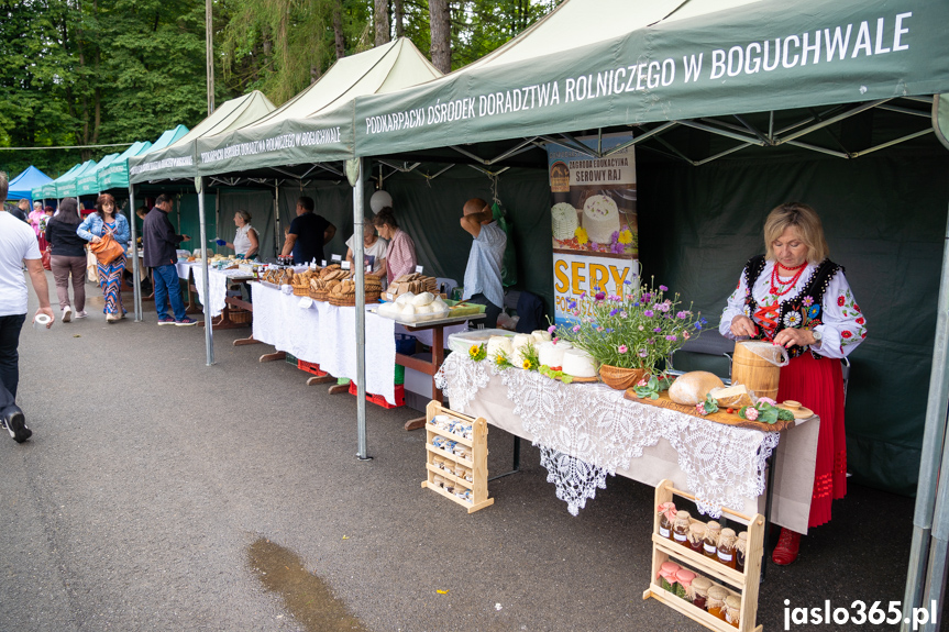 XII Festiwal Smaków Regionalnych Pierogi