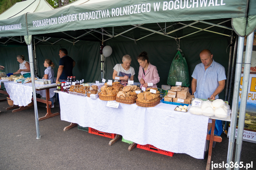 XII Festiwal Smaków Regionalnych Pierogi