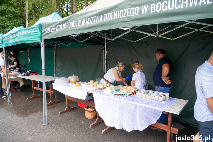 XII Festiwal Smaków Regionalnych Pierogi