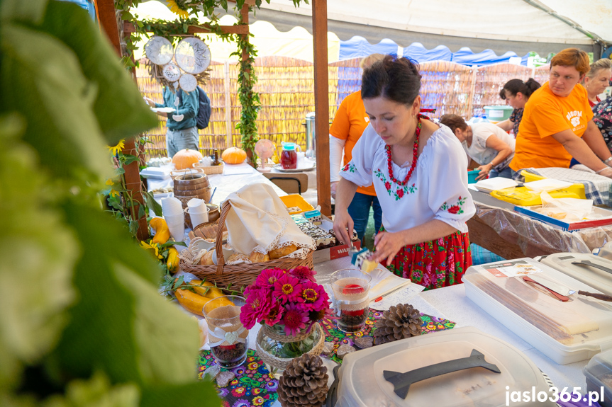 XII Festiwal Smaków Regionalnych Pierogi