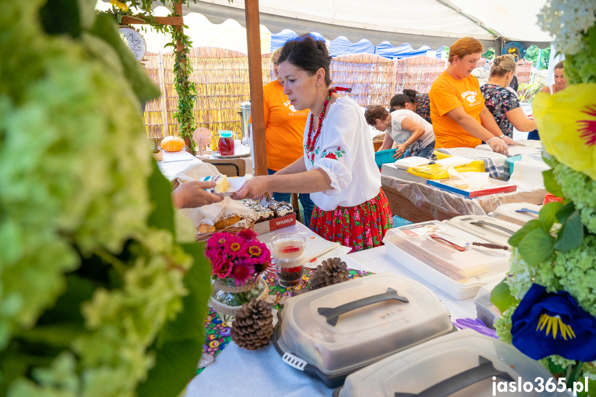 XII Festiwal Smaków Regionalnych Pierogi