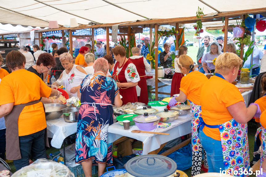 XII Festiwal Smaków Regionalnych Pierogi