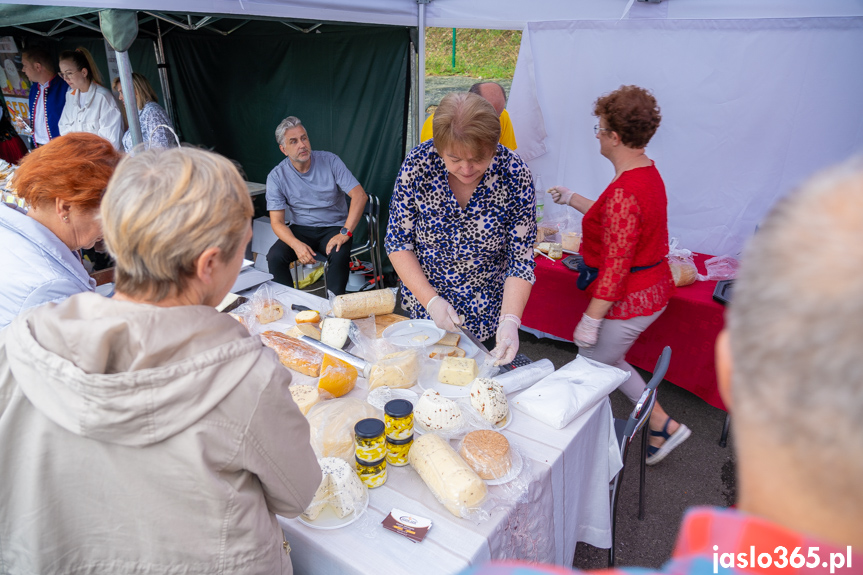 XII Festiwal Smaków Regionalnych Pierogi