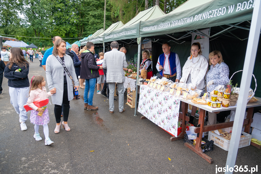 XII Festiwal Smaków Regionalnych Pierogi