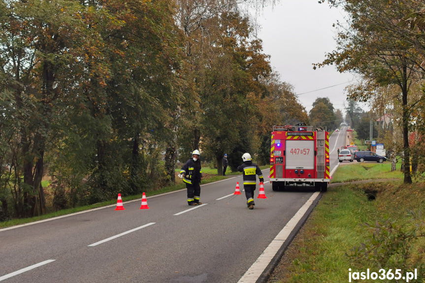 Zderzenie krowy i osobówki w Gorzycach