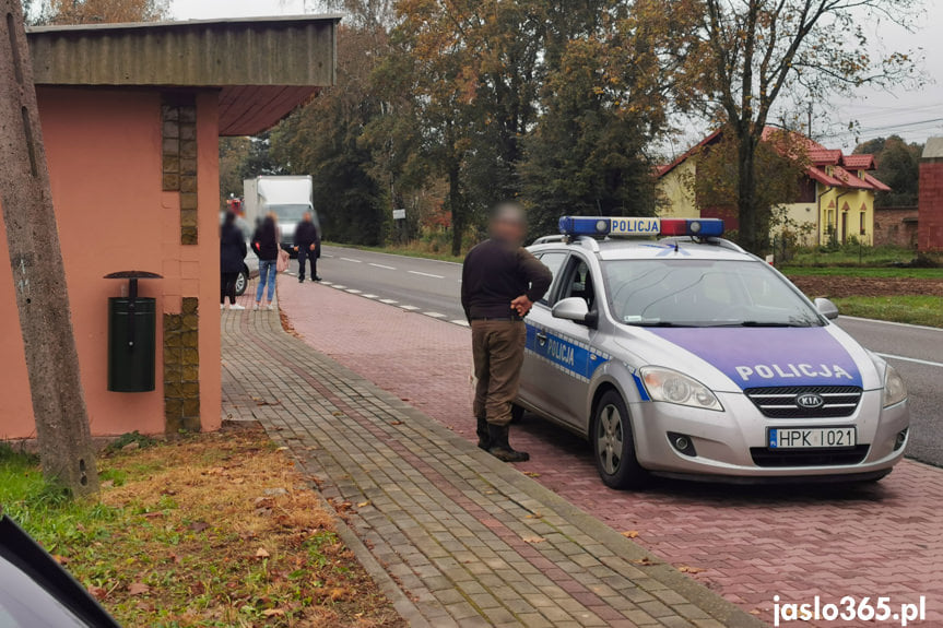 Zderzenie krowy i osobówki w Gorzycach