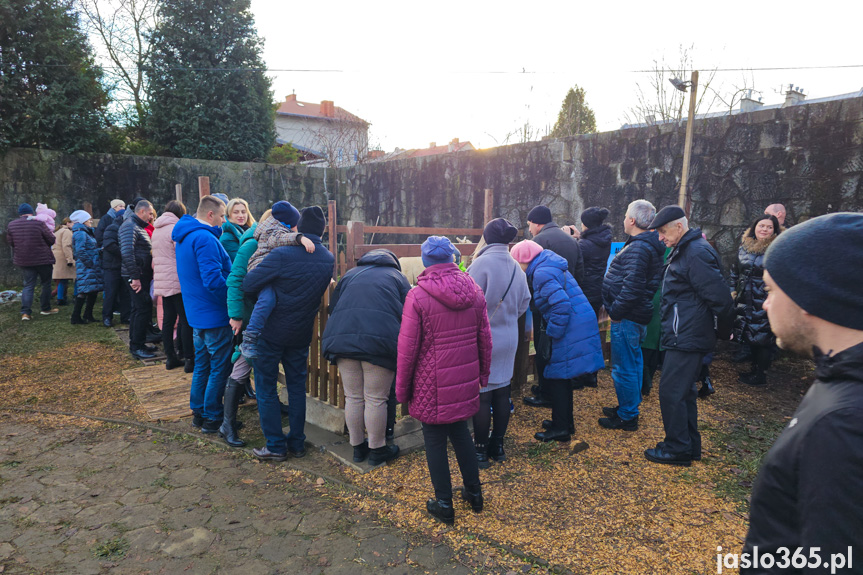 Żywa szopka w Jaśle