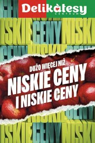 Delikatesy Centrum Jasło - Gazetka promocyjna 25/2024